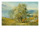 Buy An Alpine Lake at AllPosters.com