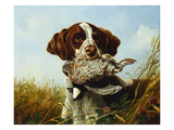 A Pointer with a Quail Amongst Clover