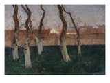 The Walled Garden