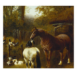A Farmyard Scene
