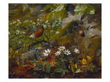 A Robin at the Foot of a Tree