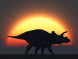 Buy A Silhouetted Triceratops Strolling Past a Setting Sun at the End of a Prehistoric Day at AllPosters.com