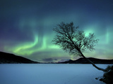 Aurora Borealis over Sandvannet Lake in Troms County, Norway