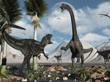A Carnivorous Allosaurus Confronts a Giant Diplodocus Herbivore During the Jurassic Period on Earth