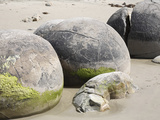 Moeraki Boulders, Koekohe Beach, New Zealand
