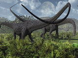Buy Two Giant Diplodocus Herbivore Dinosaurs Grazing During the Jurassic Period on Earth at AllPosters.com