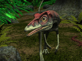 A Compsognathus Wanders a Late Jurassic Forest