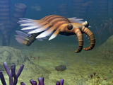 An Anomalocaris Explores a Middle Cambrian Age Ocean Floor