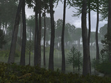 Buy A Forest of Cordaites and Araucaria at AllPosters.com