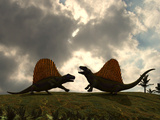 Buy Dimetrodon Fight over Territory at AllPosters.com