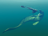 Marine Predators of the Cretaceous Period Photographic Print