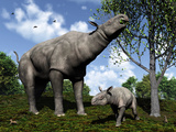 Buy A Paraceratherium Mother Grazes on Leaves and Twigs of a Poplar Tree at AllPosters.com