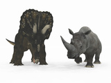 Buy An Adult Nedoceratops Compared to a Modern Adult White Rhinoceros at AllPosters.com