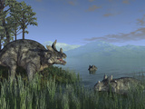 Buy Three Estemmenosuchus Mirabilis Face Off in a Paleozoic Lake at AllPosters.com