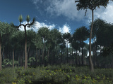 Buy A Carboniferous Forest of Midwestern North America 350 Million Years Ago at AllPosters.com