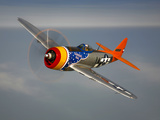 A Republic P-47D Thunderbolt in Flight