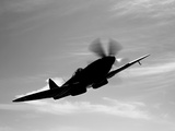 Buy A Supermarine Spitfire MK-18 in Flight at AllPosters.com