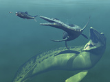 Marine Predators of the Cretaceous Period Photographic Print