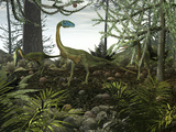 Coelophysis Dinosaurs Walk Amongst a Forest