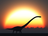 Buy A Silhouetted Omeisaurus Walks Pass the Rising Sun at the Start of a New Day at AllPosters.com