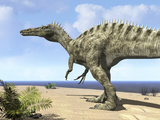Buy A Carnivorous Suchomimus Wanders a Beach on the Ancient Tethys Ocean at AllPosters.com