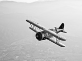 Buy A Grumman F3F Biplane in Flight at AllPosters.com
