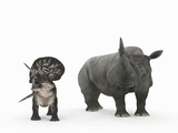 Buy An Adult Zuniceratops Compared to a Modern Adult White Rhinoceros at AllPosters.com
