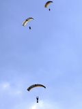 Paratroopers from the Pathfinder Platoon Descend Through the Sky