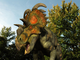 Buy A Albertaceratops Wanders a Cretaceous Forest at AllPosters.com