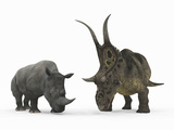 Buy An Adult Diabloceratops Compared to a Modern Adult White Rhinoceros at AllPosters.com