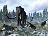 Buy A Pack of Dire Wolves Crosses Paths with Two Mammoths During the Upper Pleistocene Epoch at AllPosters.com