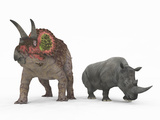 Buy An Adult Triceratops Compared to a Modern Adult White Rhinoceros at AllPosters.com