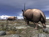 Buy A Pair of Male Elasmotherium Confront One Another at AllPosters.com