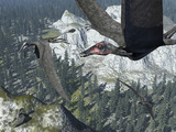 Buy A Flock of Dorygnathus at AllPosters.com