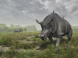 Buy Brontotherium Wander the Lush Late Eocene Landscape at AllPosters.com