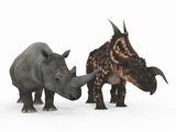 Buy An Adult Einiosaurus Compared to a Modern Adult White Rhinoceros at AllPosters.com