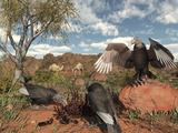 Buy Pleistocene Black Vultures Feed on Carrion at AllPosters.com