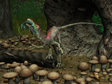A Compsognathus Prepares to Swallow a Small Lizard