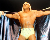 Buy Hulk Hogan Autographed Opening Cape Photograph at AllPosters.com