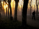 Buy Sunlight Filters Through Trees around Lake Banyoles at AllPosters.com