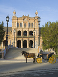 A Driver of a Horse-Drawn Carriage Ride Waits at the Plaza De Espana