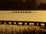 Buy Crew Practice on Lake Banyoles at AllPosters.com