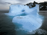 Buy A Penguin-Speckled Iceberg Floats Off South Georgia at AllPosters.com