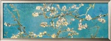 Buy Almond Branches in Bloom, San Remy, c.1890 at AllPosters.com