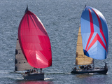 Sailboats Flying Spinnakers Near a Race Finish Line