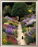 The Garden Cat