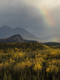 Fall at Riley Creek, Denali National Park , Alaska
