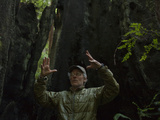 A Conservationist Talks About Logging Practices in the Redwood Forest
