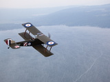 A Replica Wwi-Era Sopwith 1-1/2 Strutter Flies over New York State