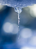 Water Dripping from an Overhang Freezes in Long Delicate Icicles